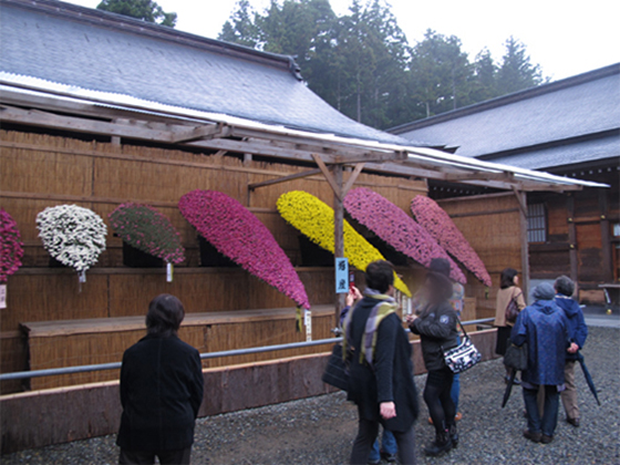 vol.057 ��F�_�� �e�܂�ɍs���̎ʐ^7