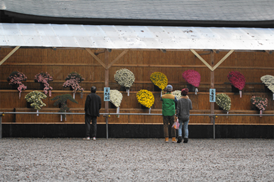 vol.057 ��F�_�� �e�܂�ɍs���̎ʐ^8