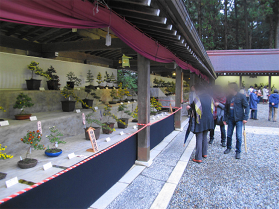 vol.057 ��F�_�� �e�܂�ɍs���̎ʐ^9