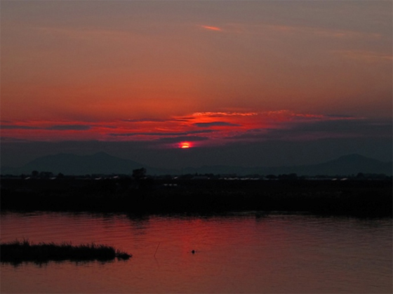 vol.059 �M�Z��̌b�݂����������̎ʐ^8