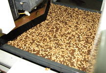 �R�V�q�J���̎�܂��n�܂�2