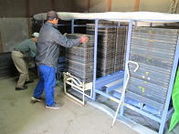 �R�V�q�J���̎�܂��n�܂�3