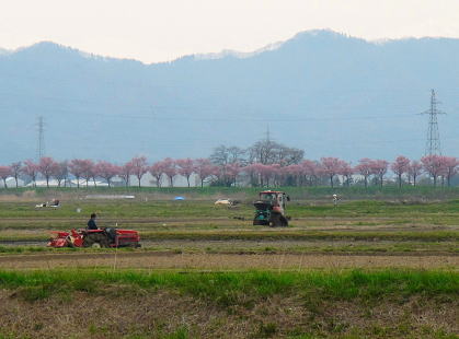 ���J�̍��̉��ŁA�c�N�����n�܂� 2