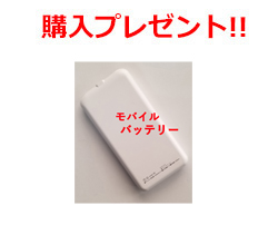 購入プレゼントあり